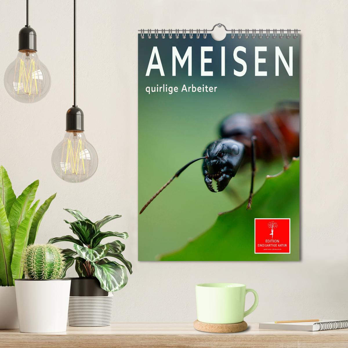 Bild: 9783435907540 | Ameisen quirlige Arbeiter (Wandkalender 2025 DIN A4 hoch), CALVENDO...