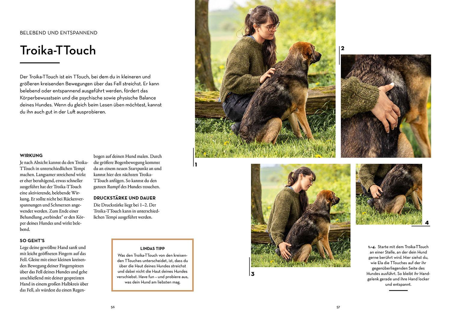 Bild: 9783440180402 | Tellington-Training für Hunde | Linda Tellington-Jones | Taschenbuch