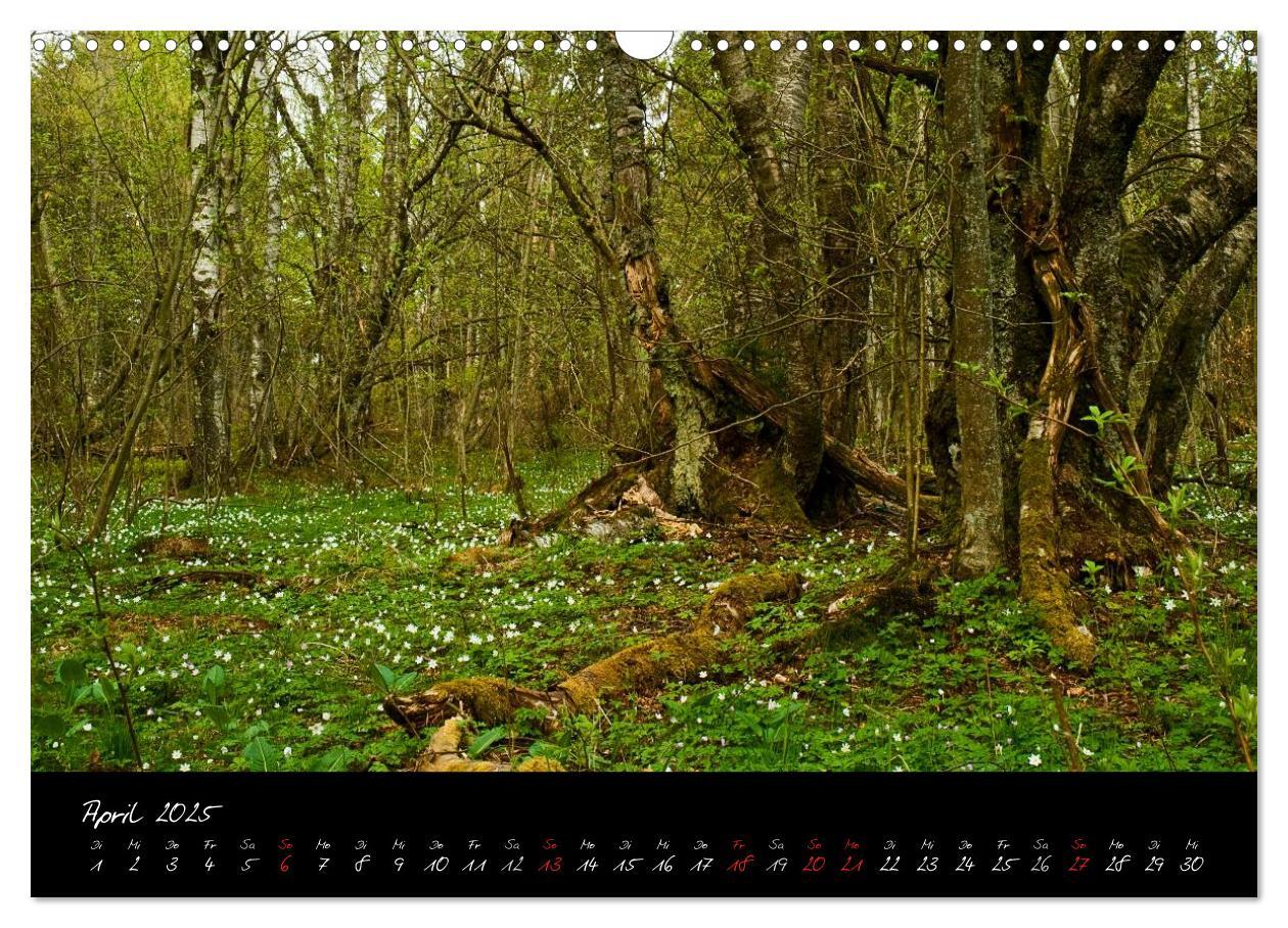 Bild: 9783435778843 | RHÖN = SCHÖN (Wandkalender 2025 DIN A3 quer), CALVENDO Monatskalender