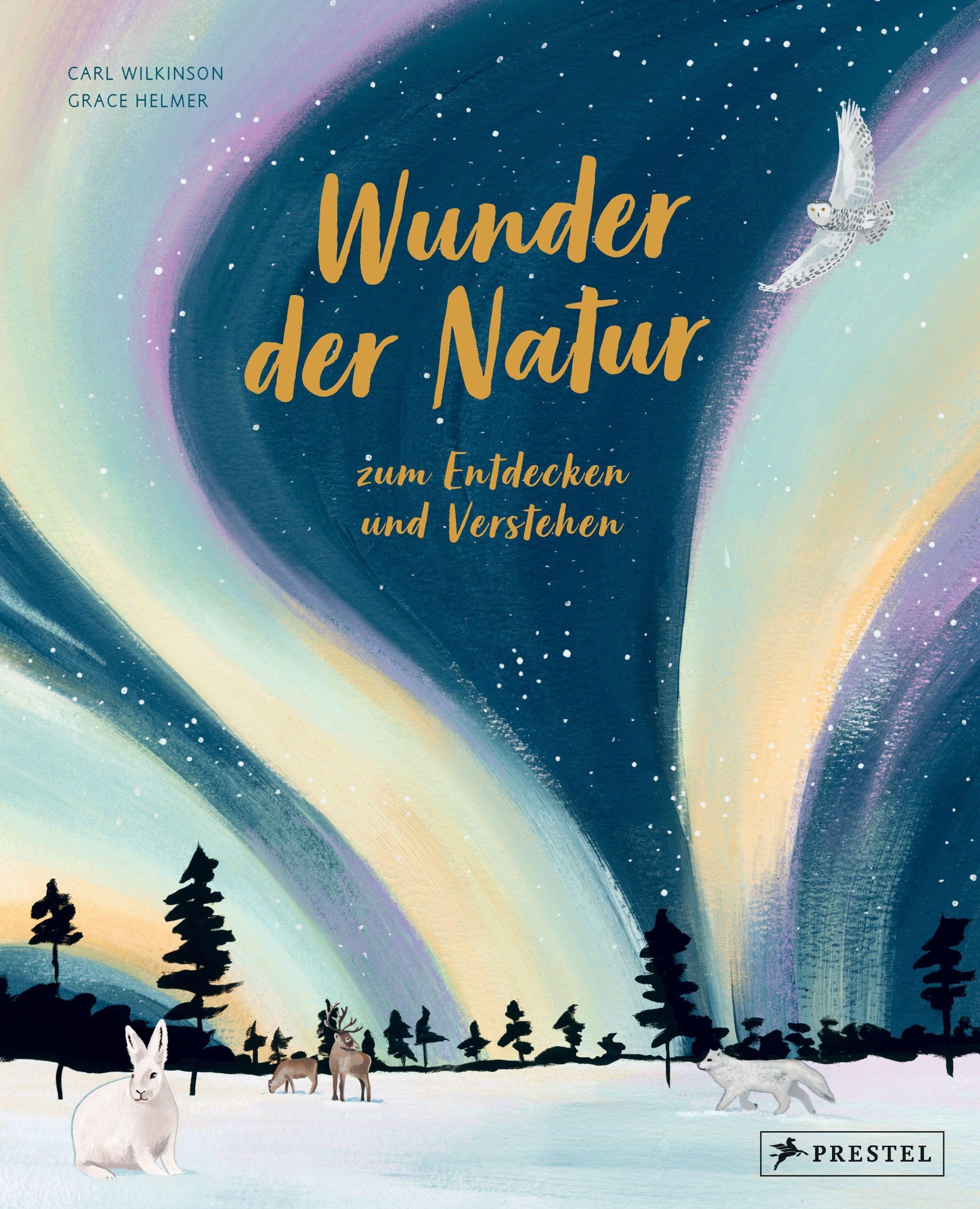 Cover: 9783791374925 | Wunder der Natur zum Entdecken und Verstehen | Carl Wilkinson | Buch