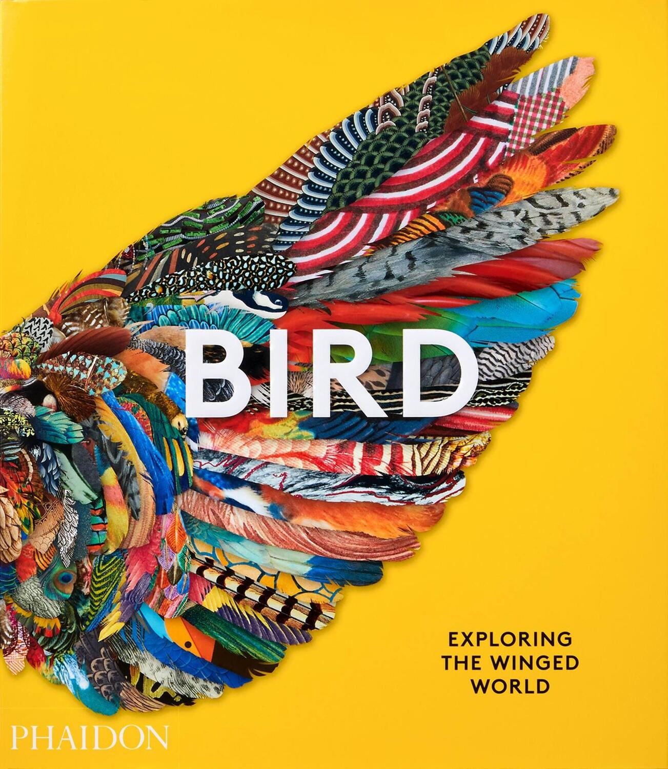 Cover: 9781838661403 | Bird | Exploring the Winged World | Katrina van Grouw (u. a.) | Buch
