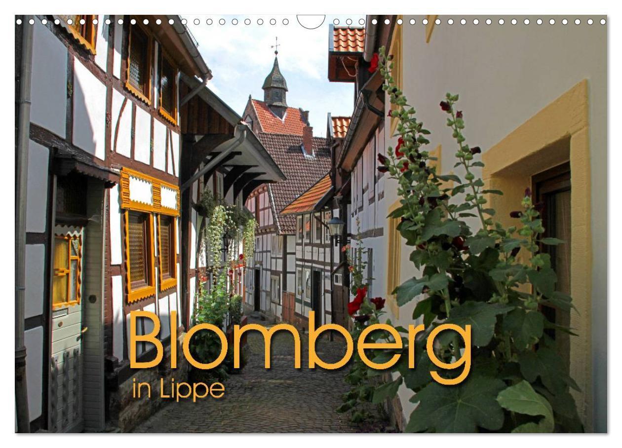 Cover: 9783435747207 | Blomberg in Lippe (Wandkalender 2025 DIN A3 quer), CALVENDO...