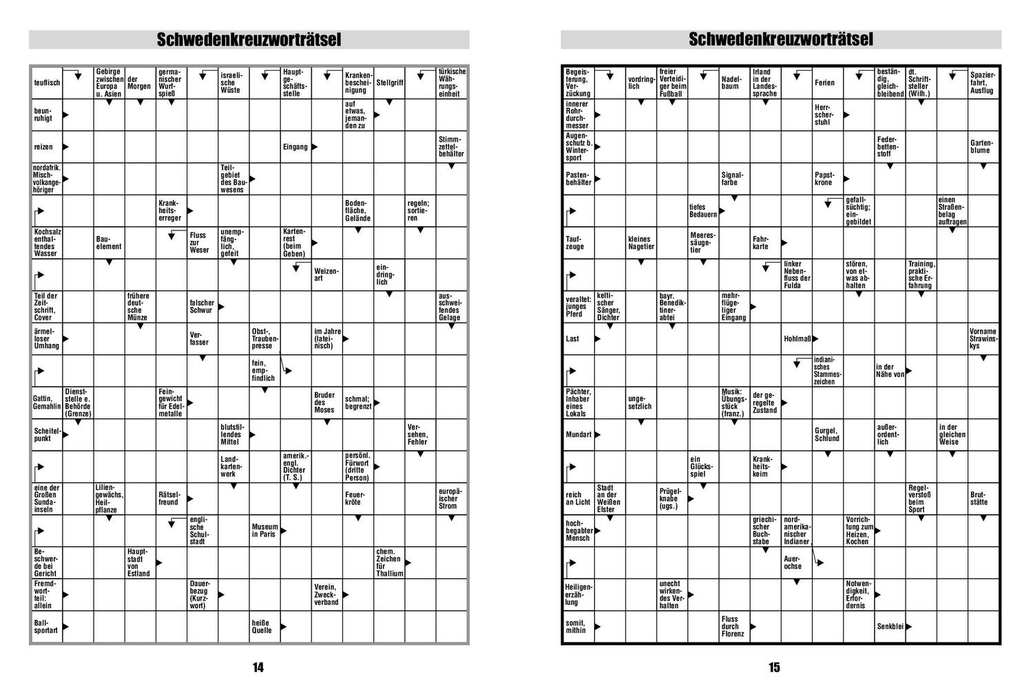 Bild: 9783625193883 | Großschrift Rätselmix | Taschenbuch | 96 S. | Deutsch | 2023