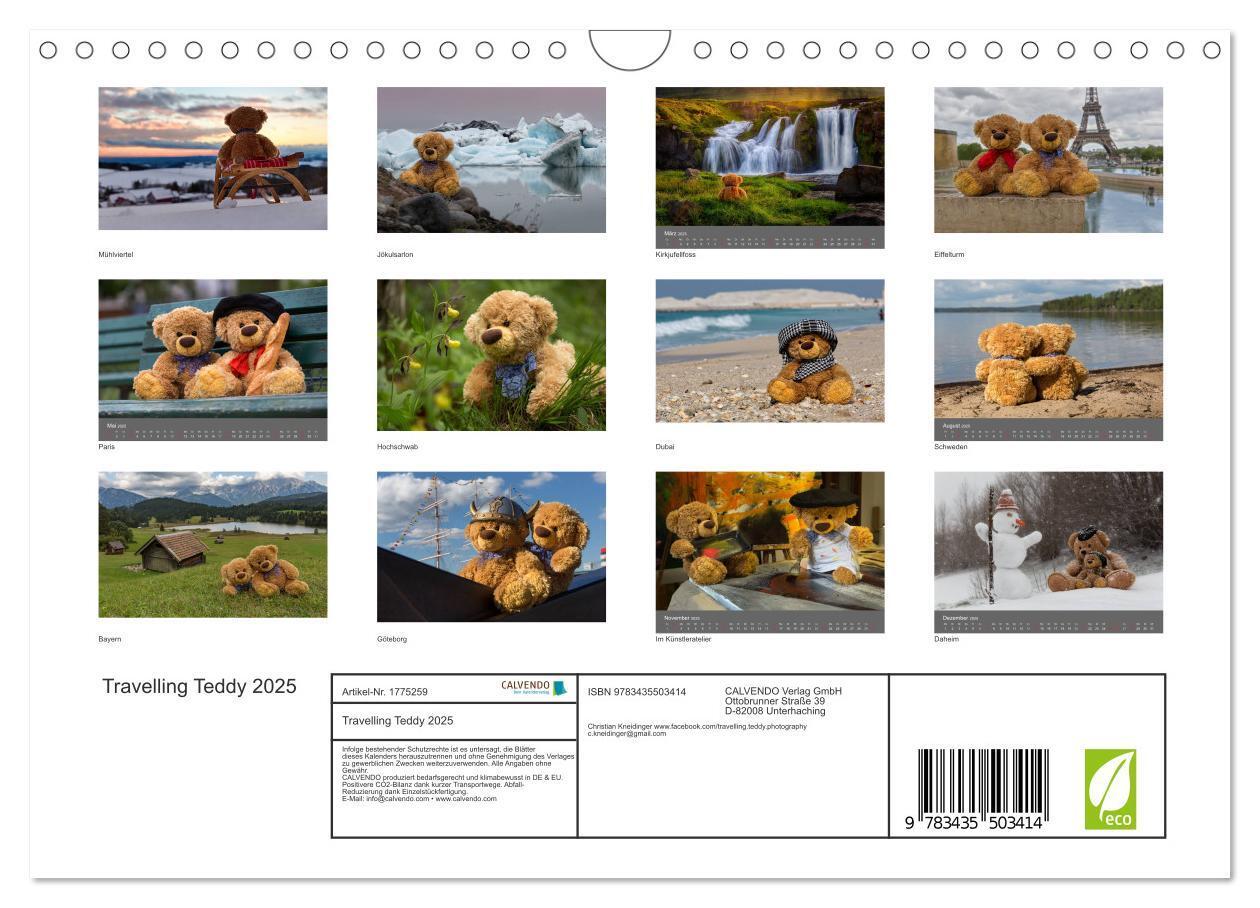 Bild: 9783435503414 | Travelling Teddy 2025 (Wandkalender 2025 DIN A4 quer), CALVENDO...