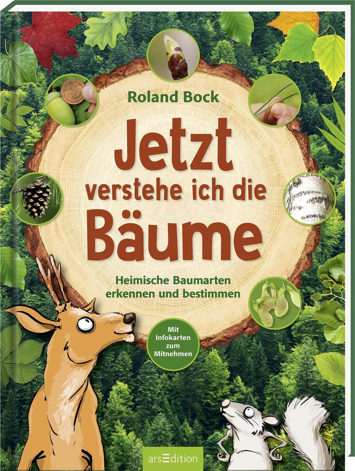 Cover: 9783845847030 | Jetzt verstehe ich die Bäume | Roland Bock | Buch | 48 S. | Deutsch