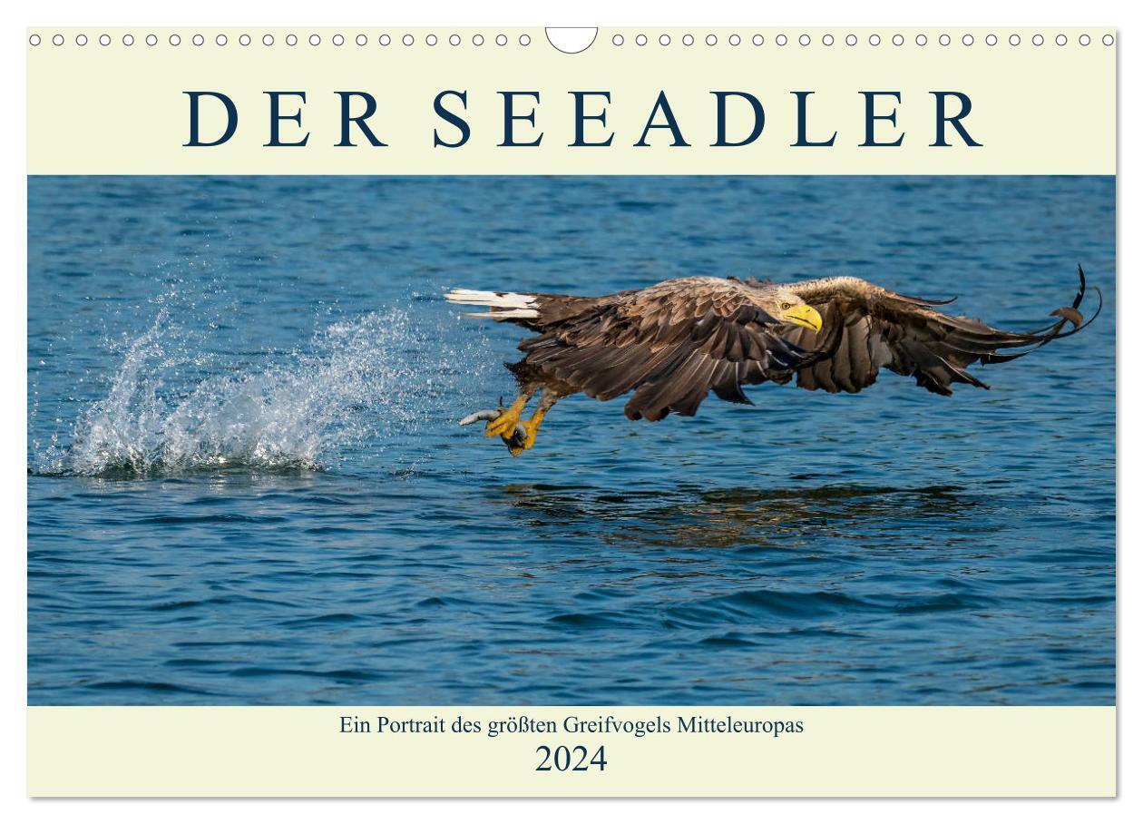 Cover: 9783675555693 | DER SEEADLER Ein Portrait des größten Greifvogels Mitteleuropas...