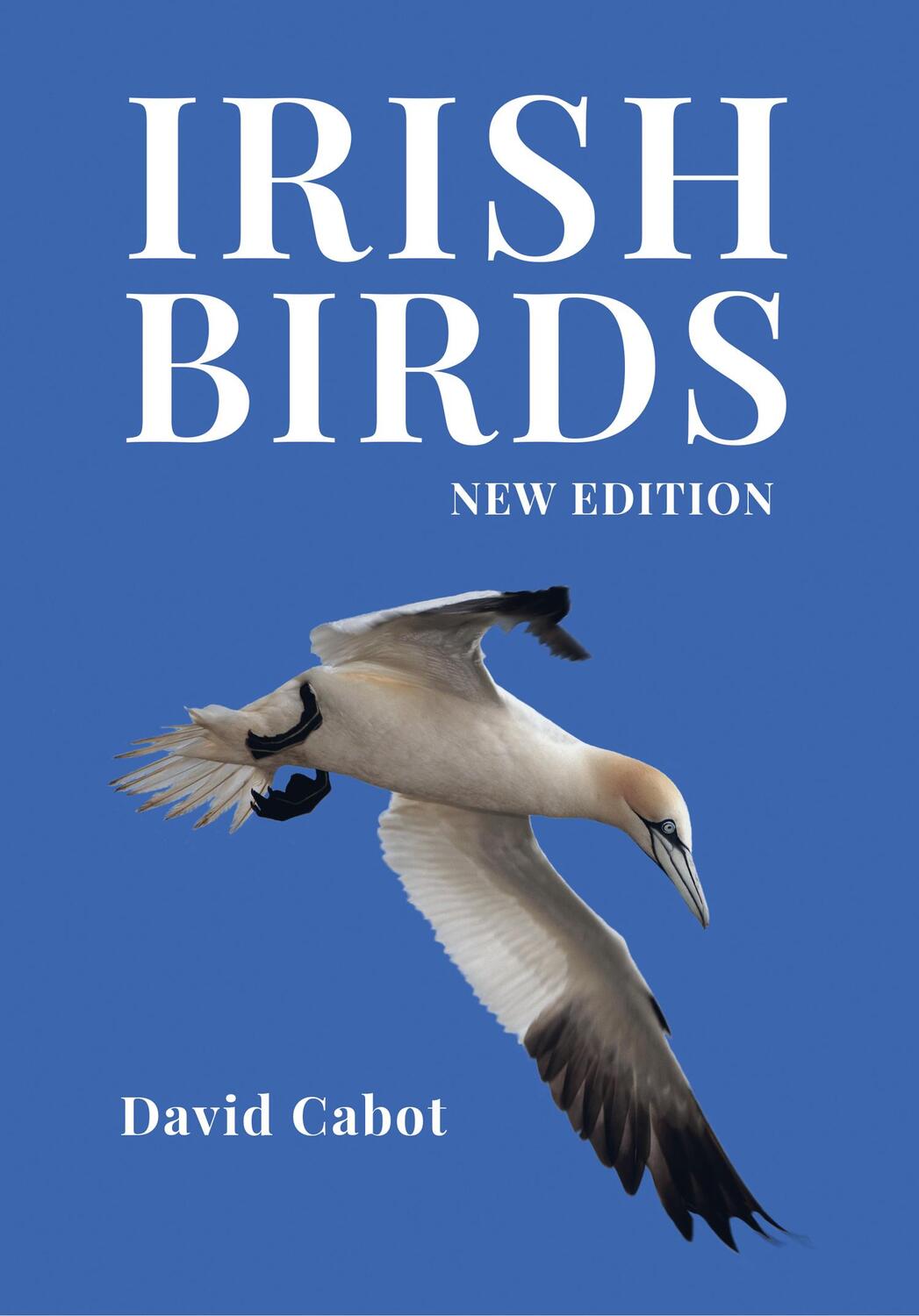 Cover: 9780008412715 | Irish Birds | David Cabot | Buch | Gebunden | Englisch | 2021