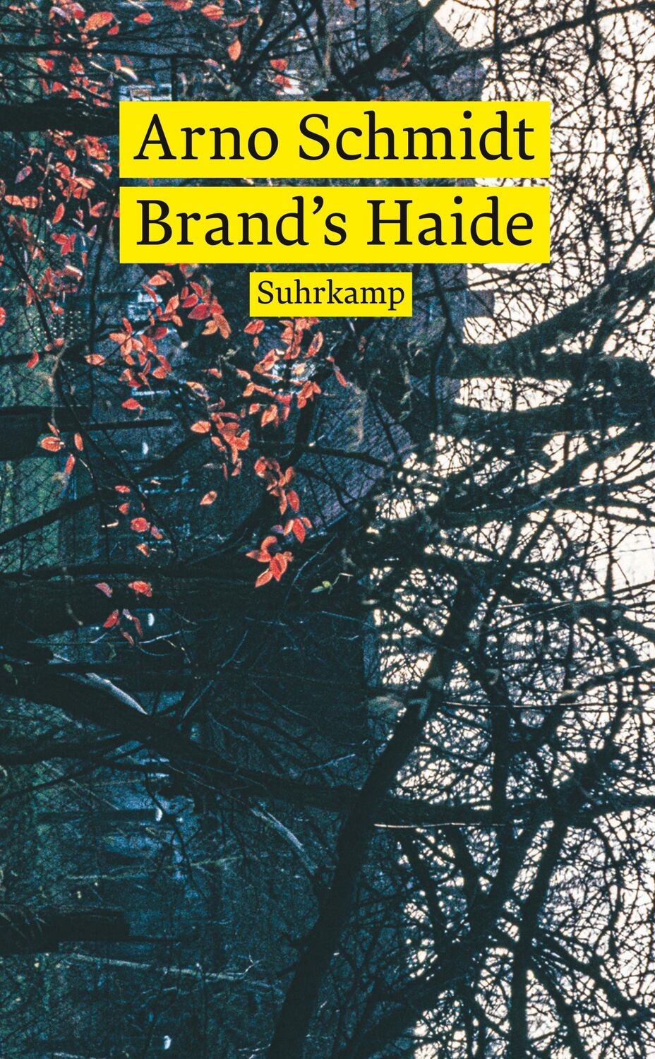 Cover: 9783518473313 | Brand's Haide | Roman | Arno Schmidt | Taschenbuch | 114 S. | Deutsch