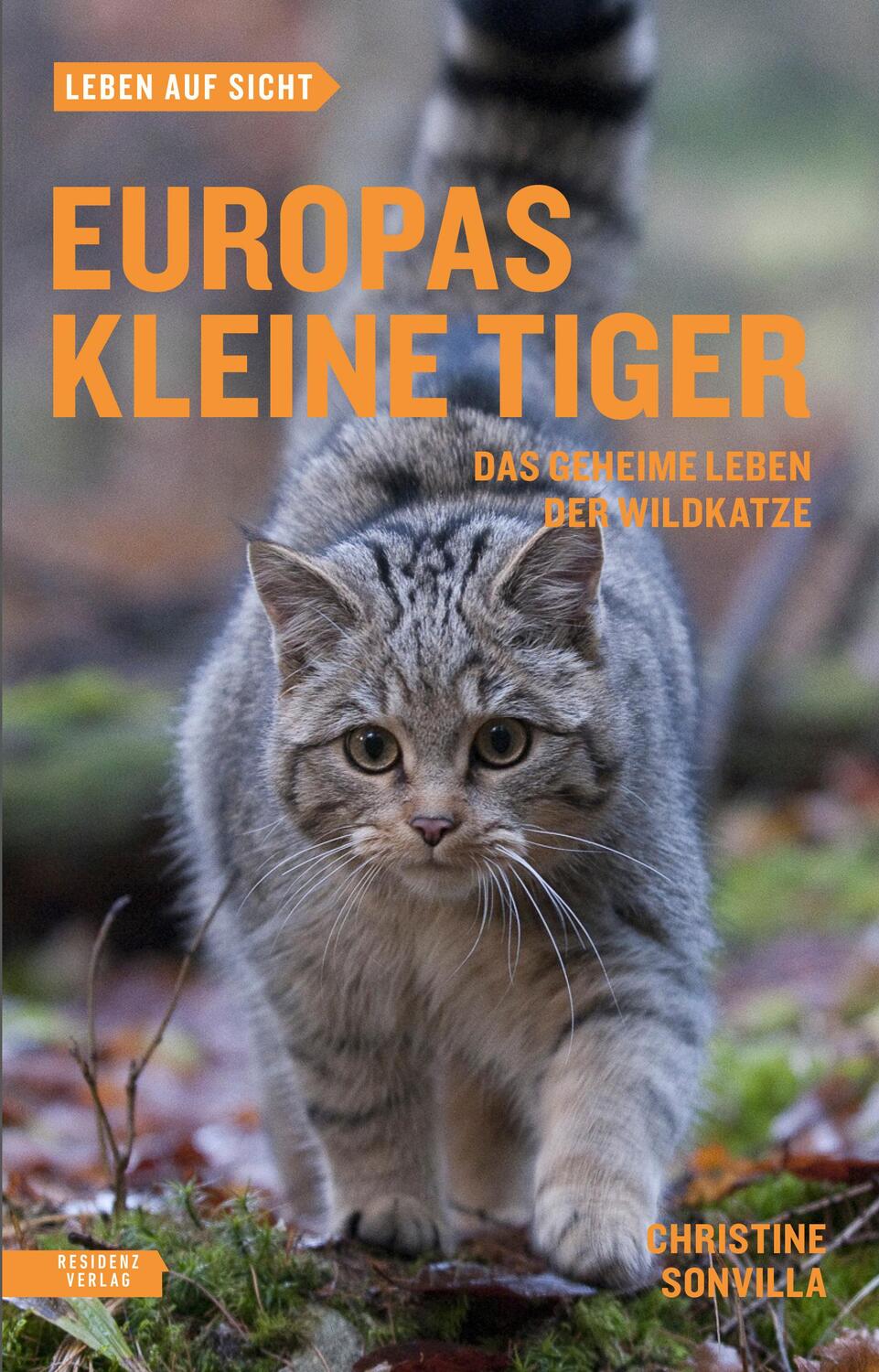 Cover: 9783701735235 | Europas kleine Tiger | Das geheime Leben der Wildkatze | Sonvilla