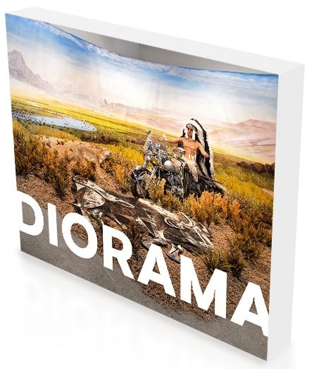 Cover: 9783864422263 | Diorama - Erfindung einer Illusion | Katharina Dohm (u. a.) | Buch