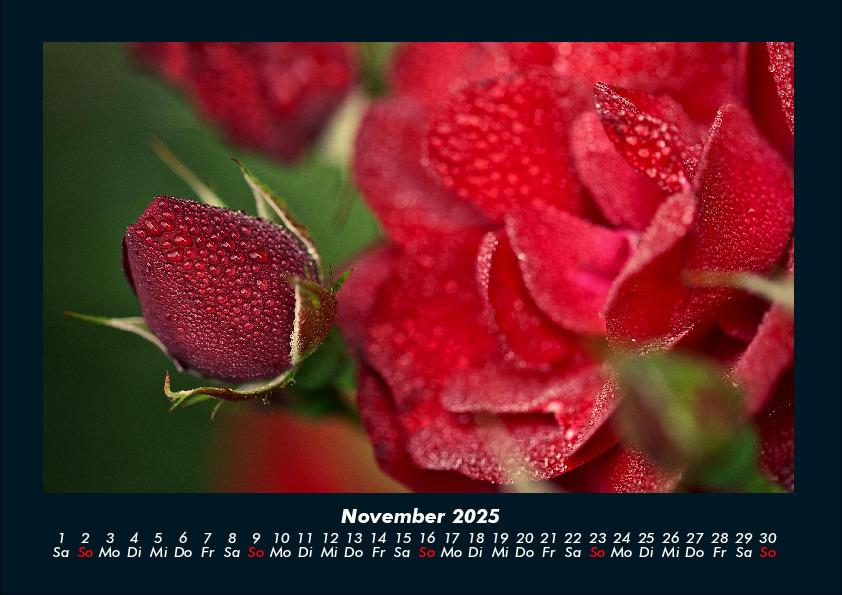 Bild: 9783755989172 | Blumenkalender 2025 Fotokalender DIN A4 | Tobias Becker | Kalender