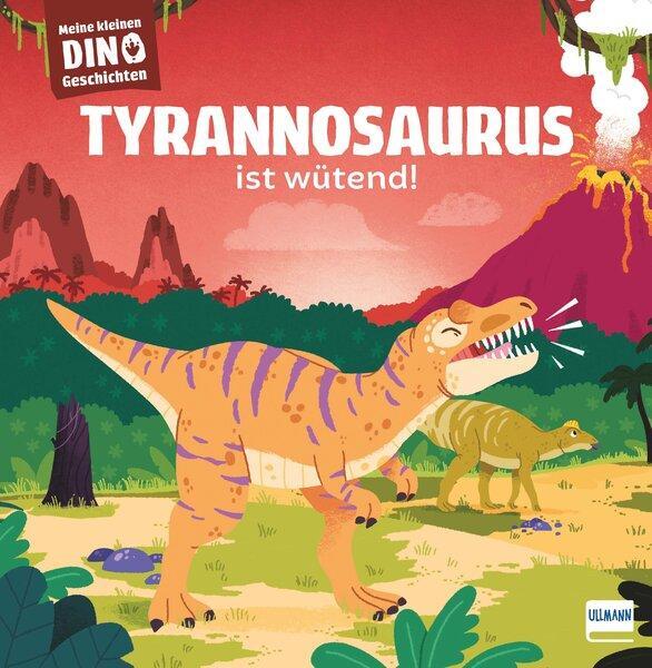 Cover: 9783741527463 | Meine kleinen Dinogeschichten - Tyrannosaurus ist wütend | Frattini
