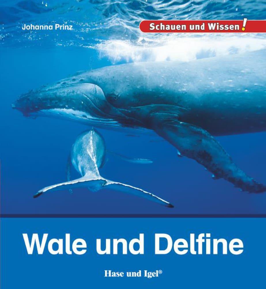 Cover: 9783867609630 | Wale und Delfine | Schauen und Wissen! | Johanna Prinz | Buch | 34 S.