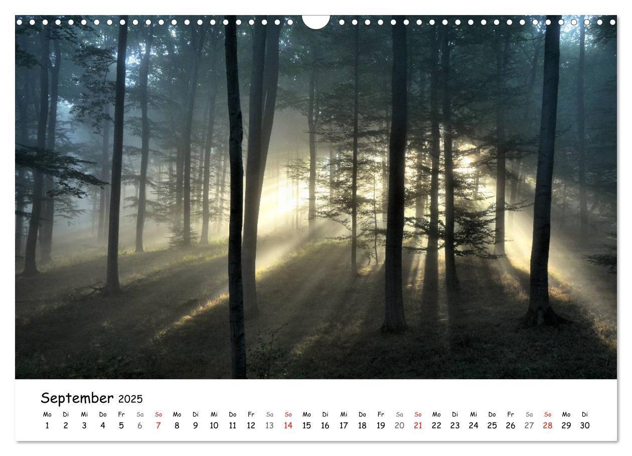 Bild: 9783435609628 | Morgendliche Stimmungen in Nordhessen (Wandkalender 2025 DIN A3...