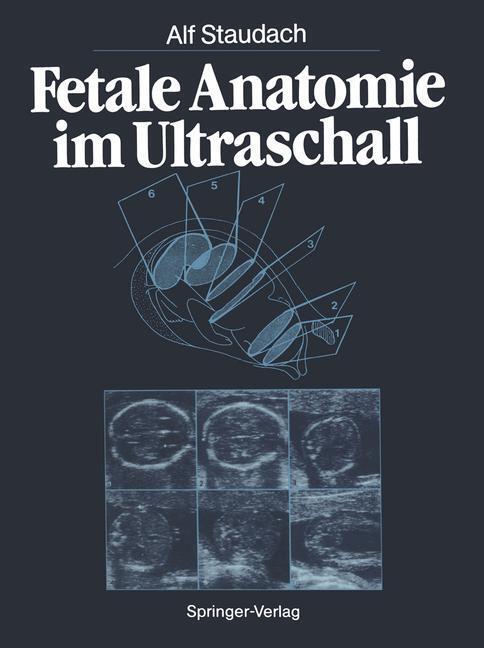 Cover: 9783662007921 | Fetale Anatomie im Ultraschall | Alf Staudach | Taschenbuch | X | 2012