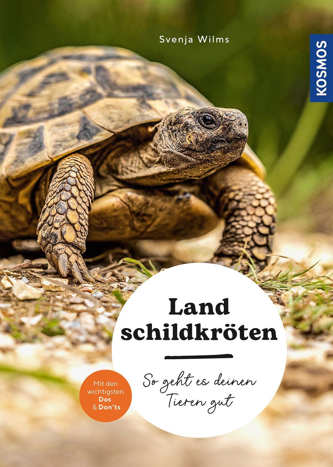 Cover: 9783440178485 | Landschildkröten | Svenja Wilms | Taschenbuch | Mein Tier | 96 S.
