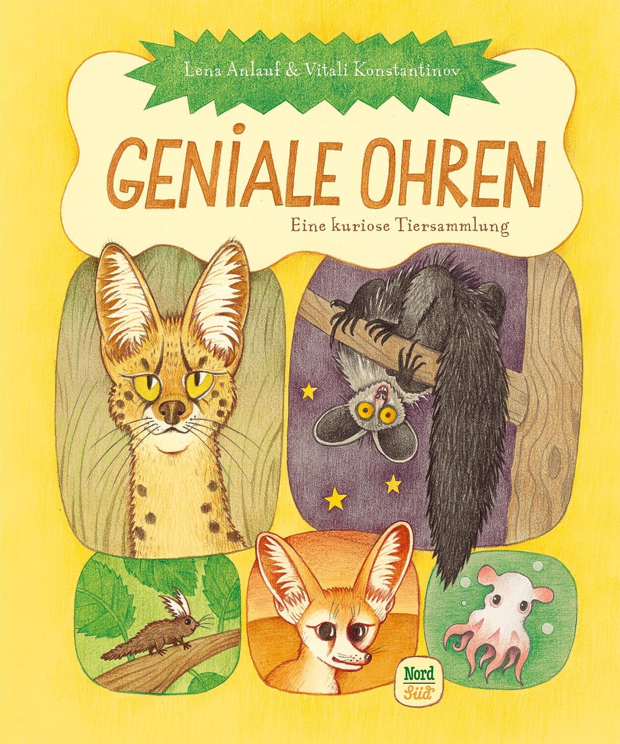Cover: 9783314106736 | Geniale Ohren | Eine kuriose Tiersammlung | Lena Anlauf | Buch | 64 S.