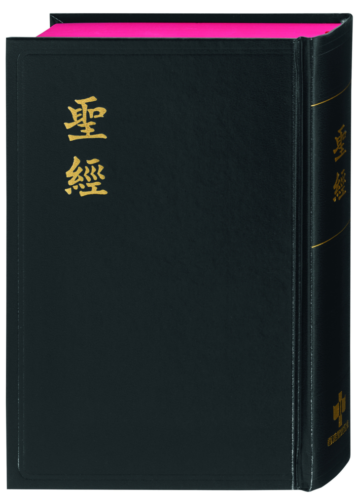 Cover: 9783438081421 | Bibel Chinesisch Mandarin - Chinese Union Version, Traditionelle...