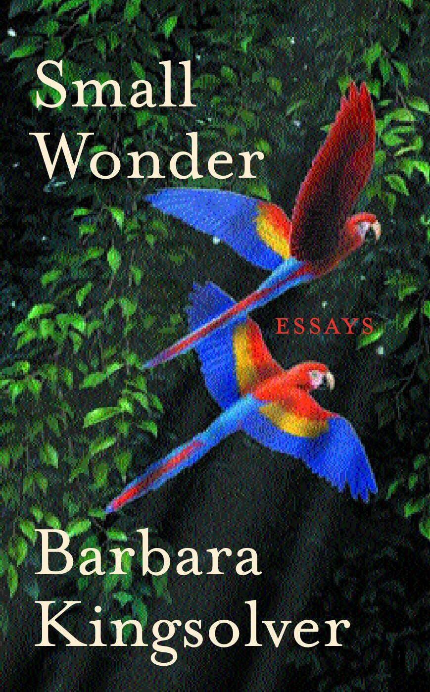 Cover: 9780571215775 | Small Wonder | Barbara Kingsolver | Taschenbuch | Englisch | 2003