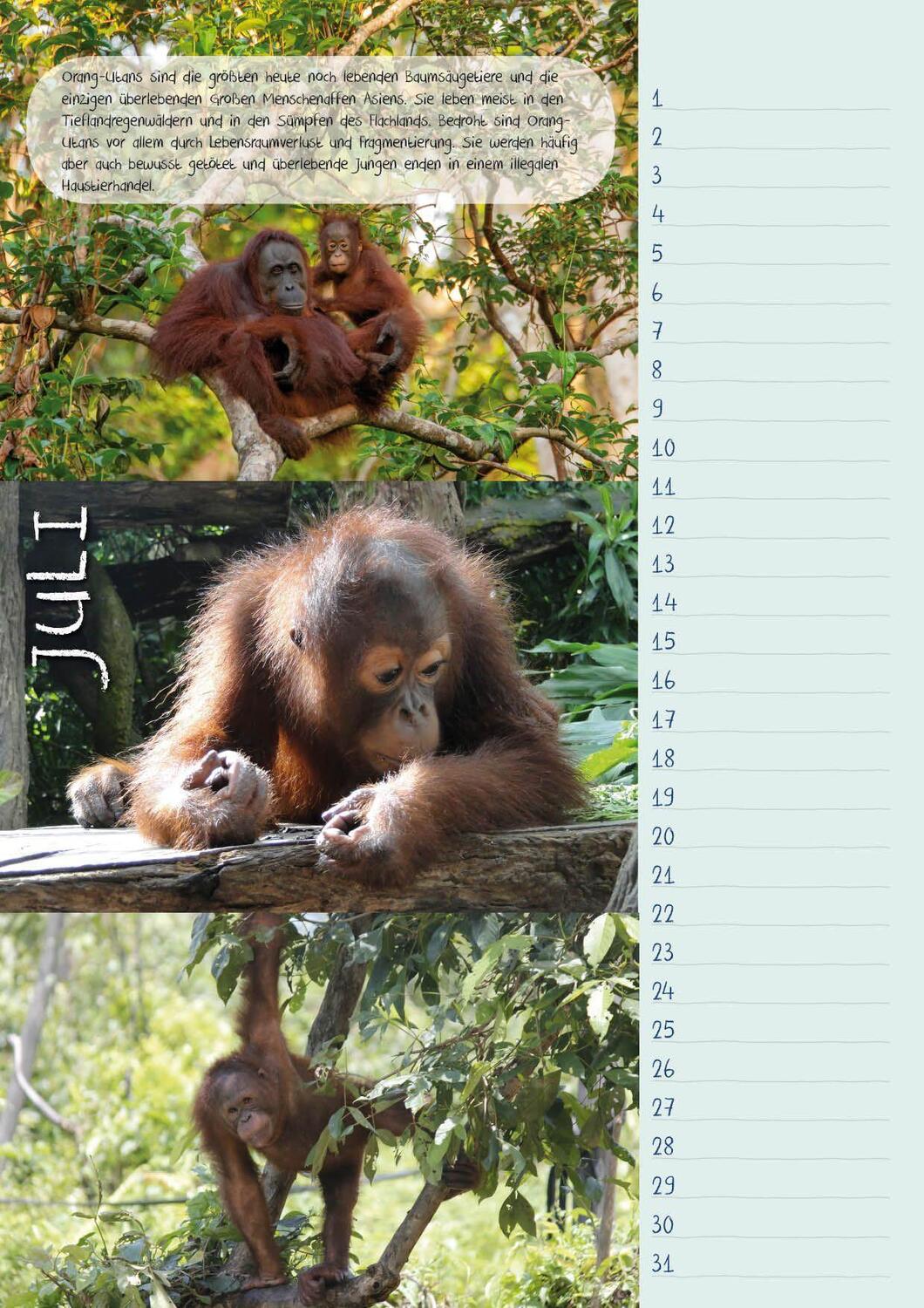 Bild: 9783925605321 | Geburtstagskal. Bedrohte Tierarten/Natur | Dieter Braue | Kalender