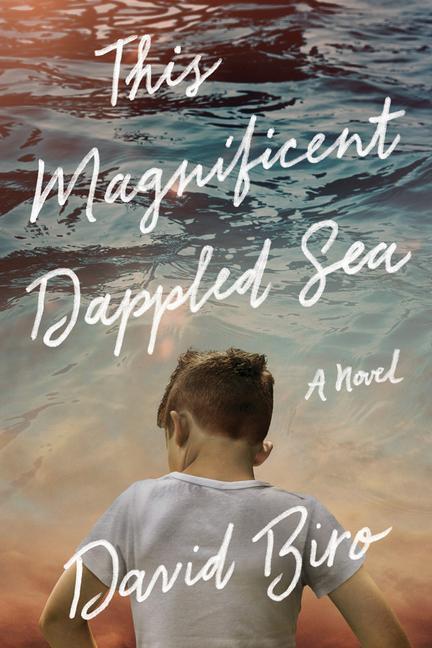 Cover: 9781542019811 | This Magnificent Dappled Sea | David Biro | Taschenbuch | Englisch