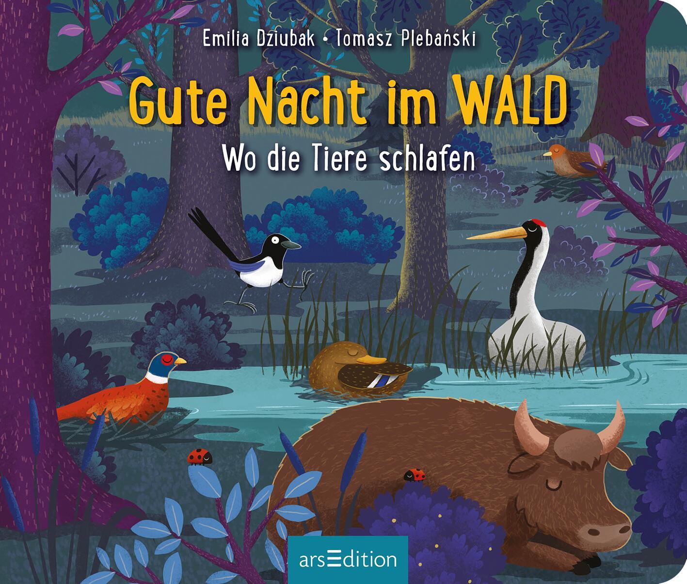 Bild: 9783845866062 | Gute Nacht im Wald | Wo die Tiere schlafen | Emilia Dziubak | Buch