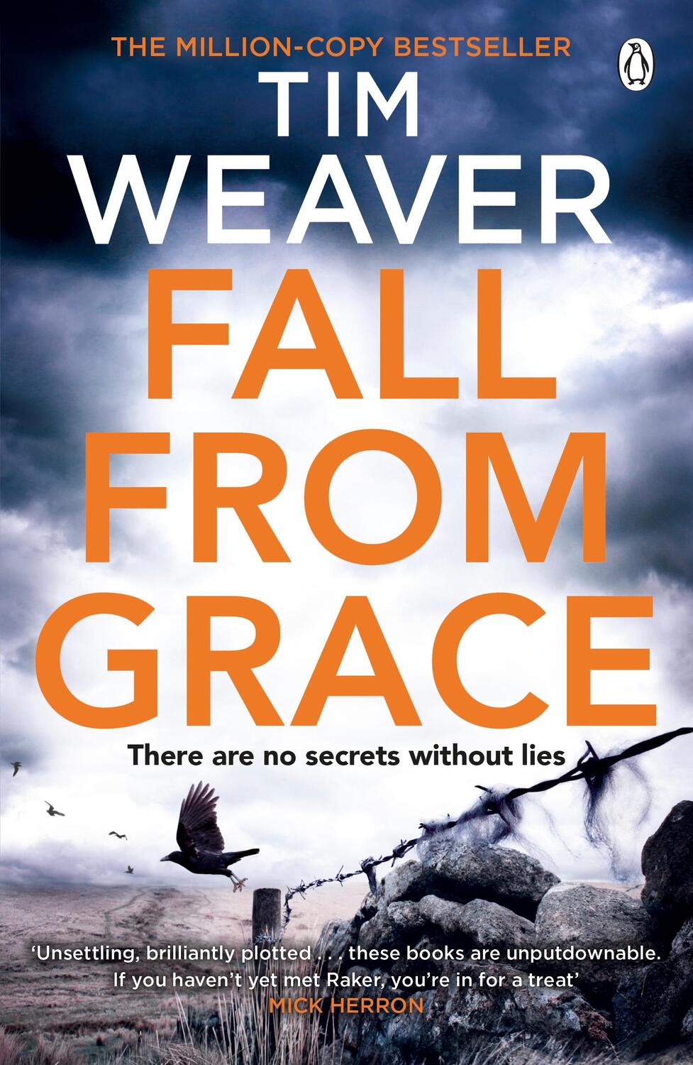 Cover: 9781405913461 | Fall From Grace | Tim Weaver | Taschenbuch | Englisch | 2014