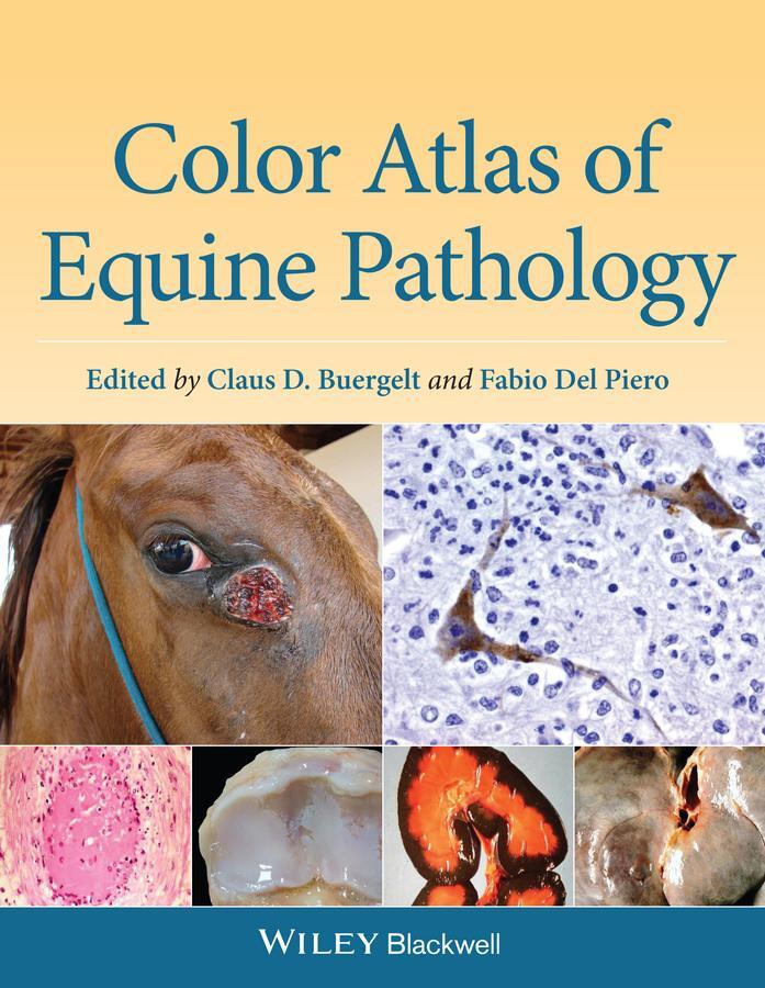 Cover: 9780470962848 | Color Atlas of Equine Pathology | Claus D Buergelt (u. a.) | Buch