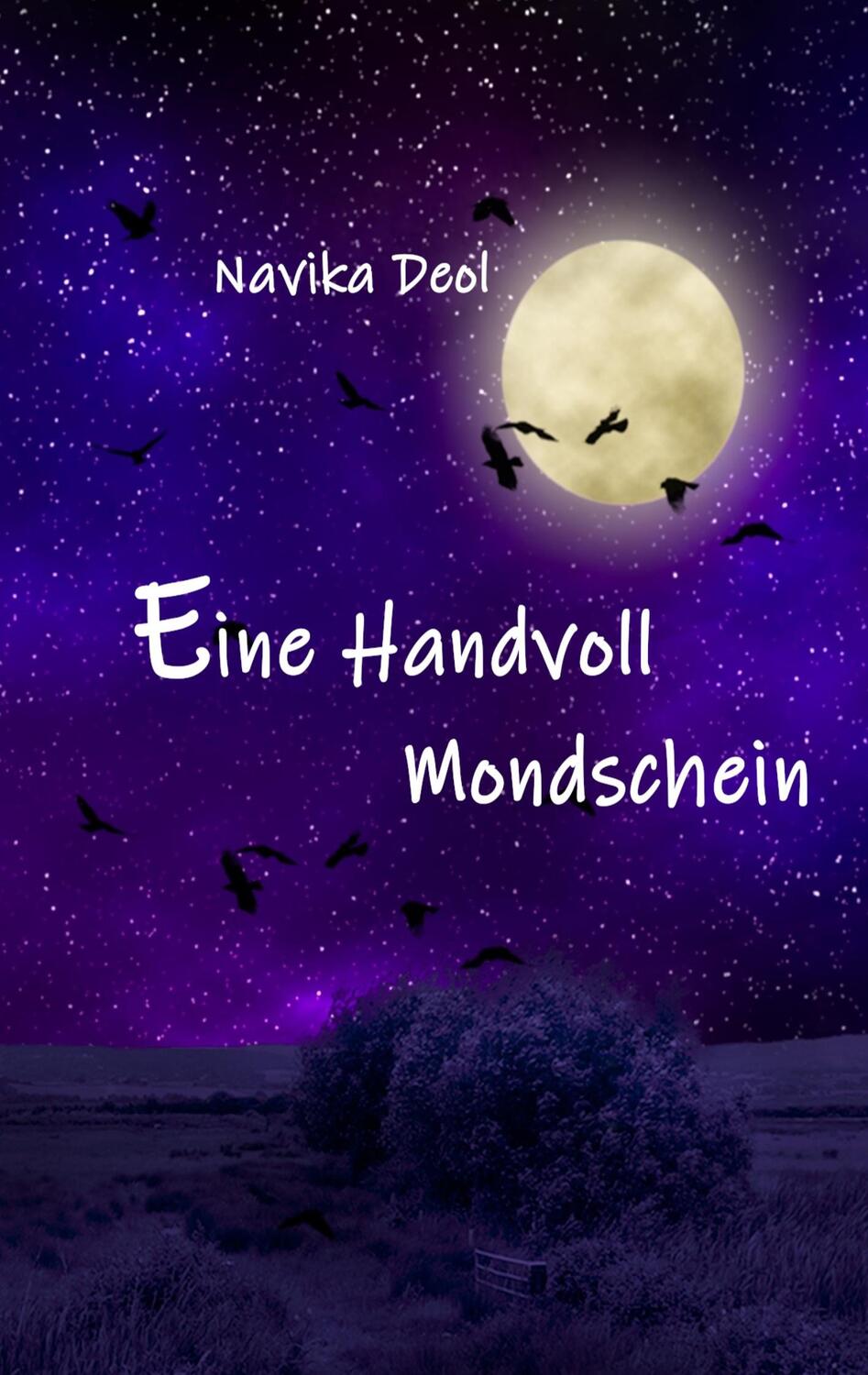 Cover: 9783752829761 | Eine Handvoll Mondschein | Kurzgeschichten und Gedichte | Navika Deol