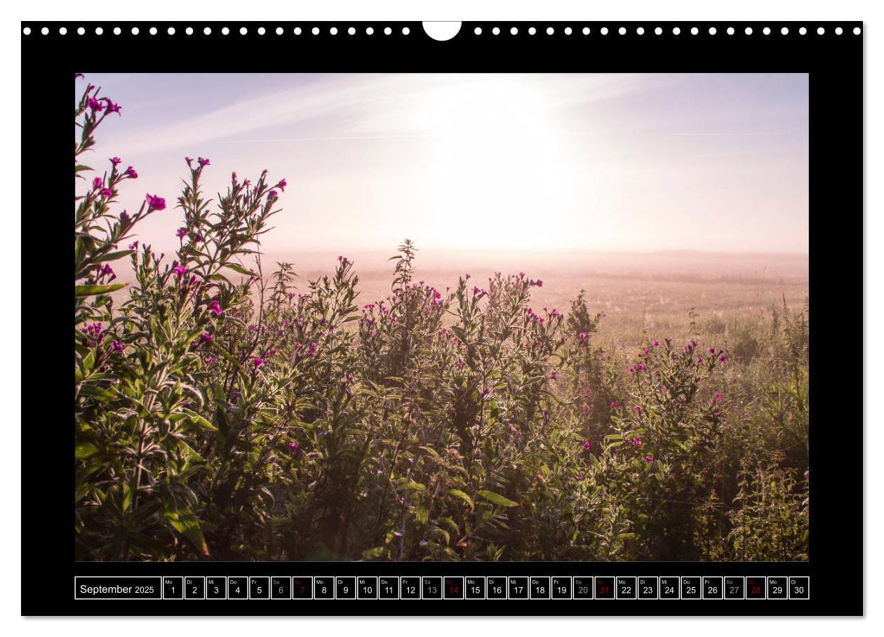 Bild: 9783435450145 | Lichtlandschaft Worpswede (Wandkalender 2025 DIN A3 quer), CALVENDO...