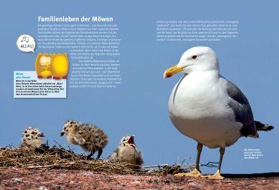 Bild: 9783866592643 | Entdecke die Möwen | Thomas Schmidt | Buch | 56 S. | Deutsch | 2014