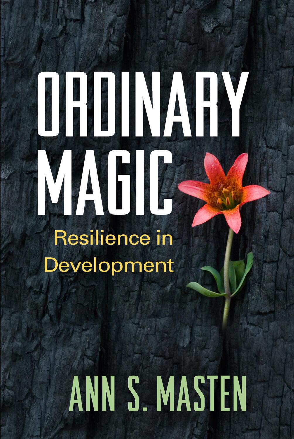Cover: 9781462523719 | Ordinary Magic | Resilience in Development | Ann S. Masten | Buch