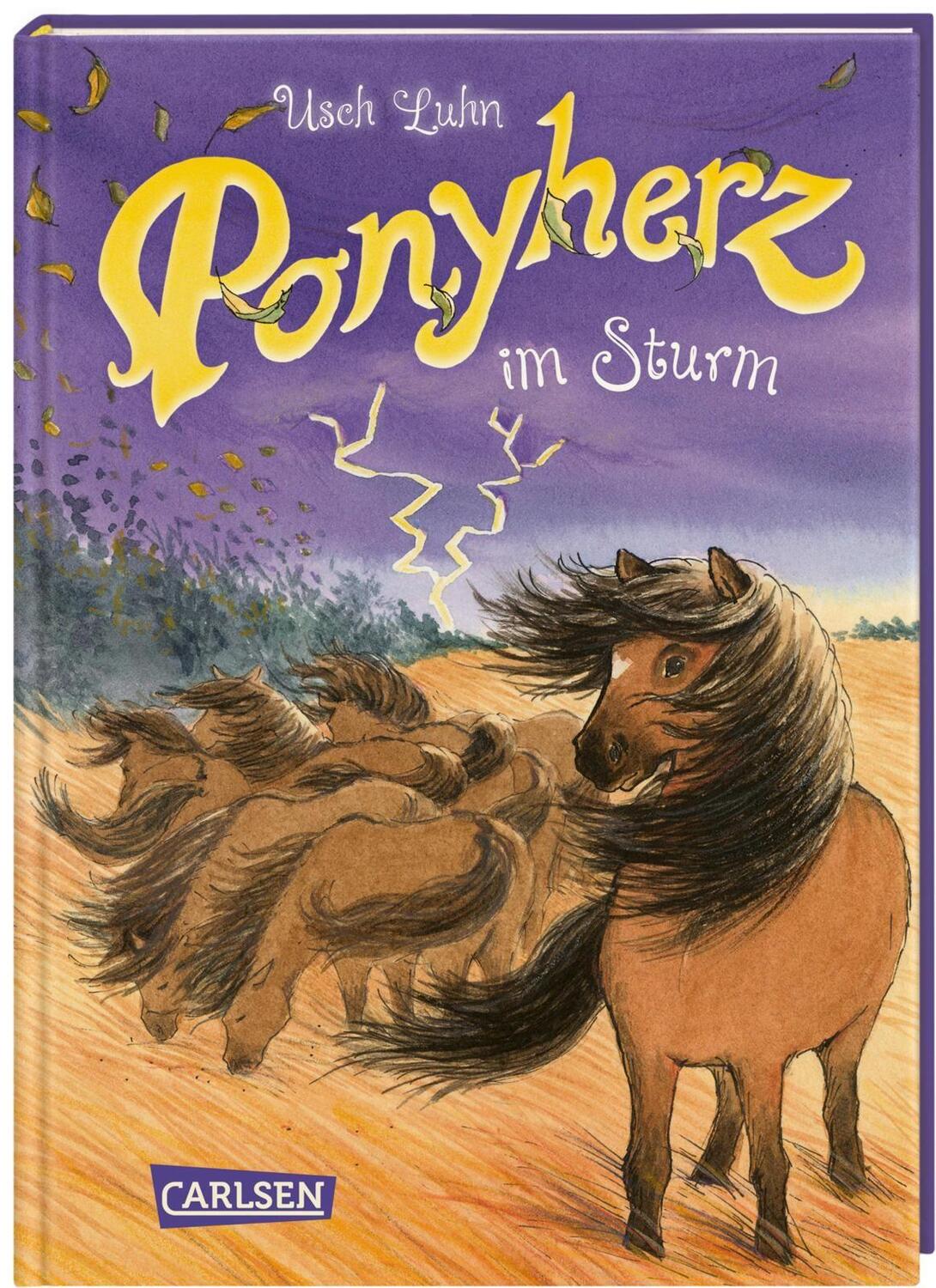 Cover: 9783551652942 | Ponyherz 14: Ponyherz im Sturm | Usch Luhn | Buch | Ponyherz | 128 S.