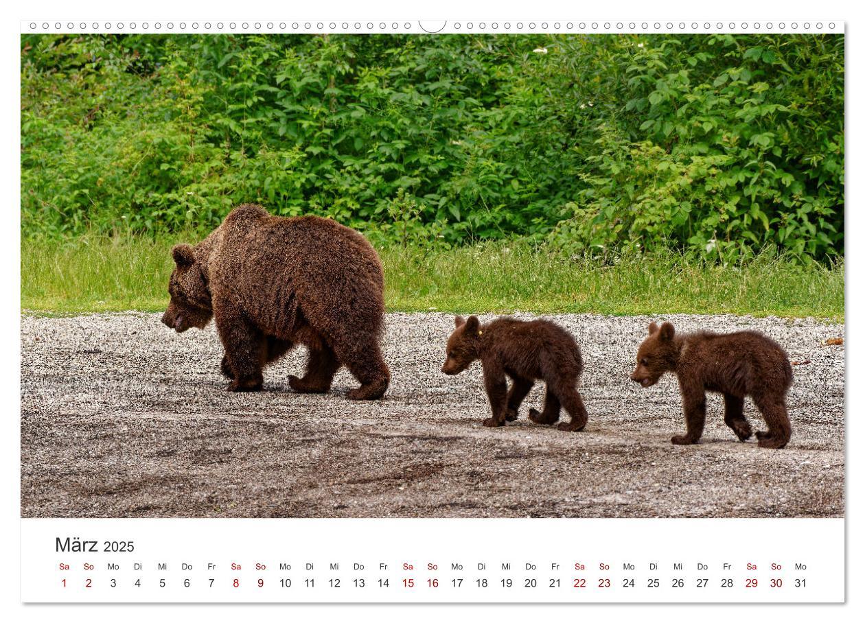 Bild: 9783383798498 | Siebenbürgen und das Fagaras Gebirge (Wandkalender 2025 DIN A2...