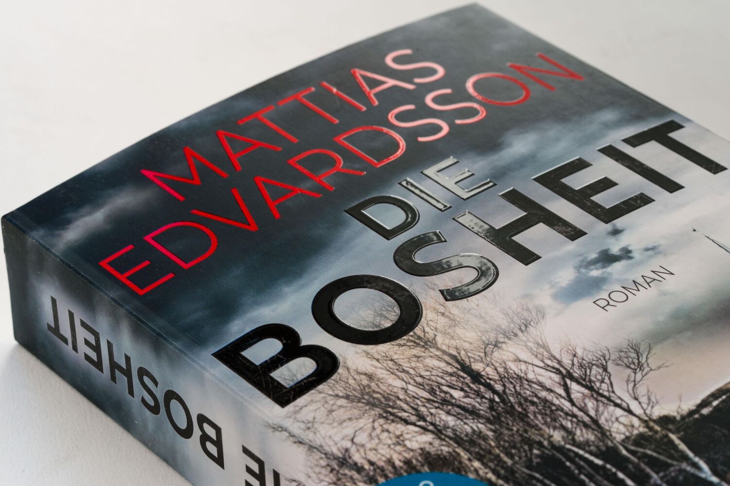 Bild: 9783809027225 | Die Bosheit | Roman | Mattias Edvardsson | Taschenbuch | 448 S. | 2021