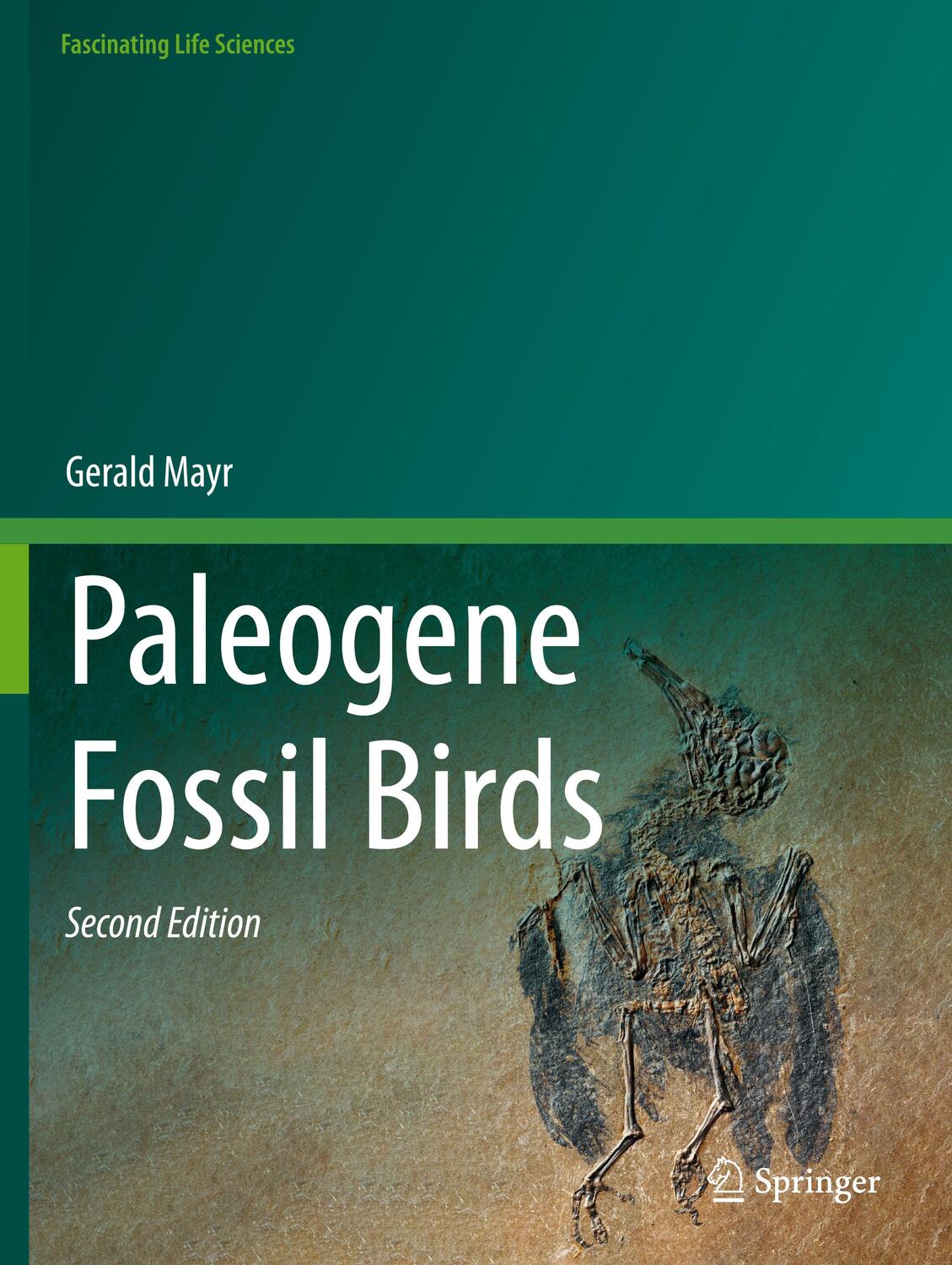 Cover: 9783030876470 | Paleogene Fossil Birds | Gerald Mayr | Taschenbuch | Paperback | 2023