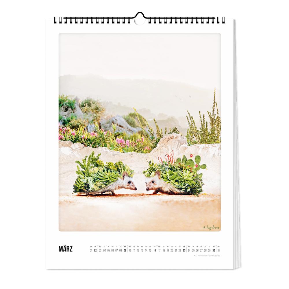 Bild: 4251781179225 | Wandkalender 2025 - Zauberhafte Welt | Pickmotion | Kalender | Deutsch