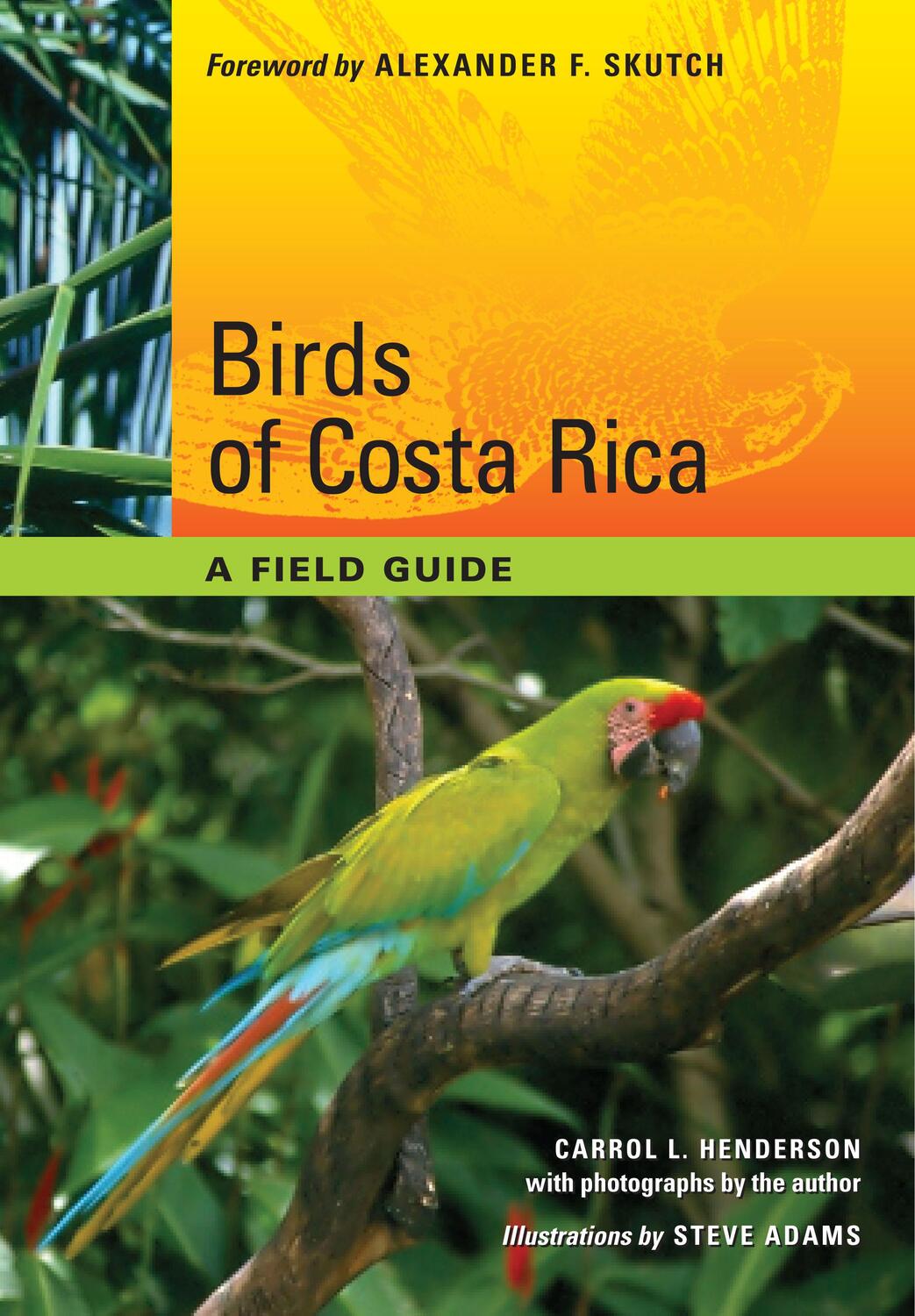 Cover: 9780292719651 | Birds of Costa Rica | A Field Guide | Carrol L. Henderson | Buch