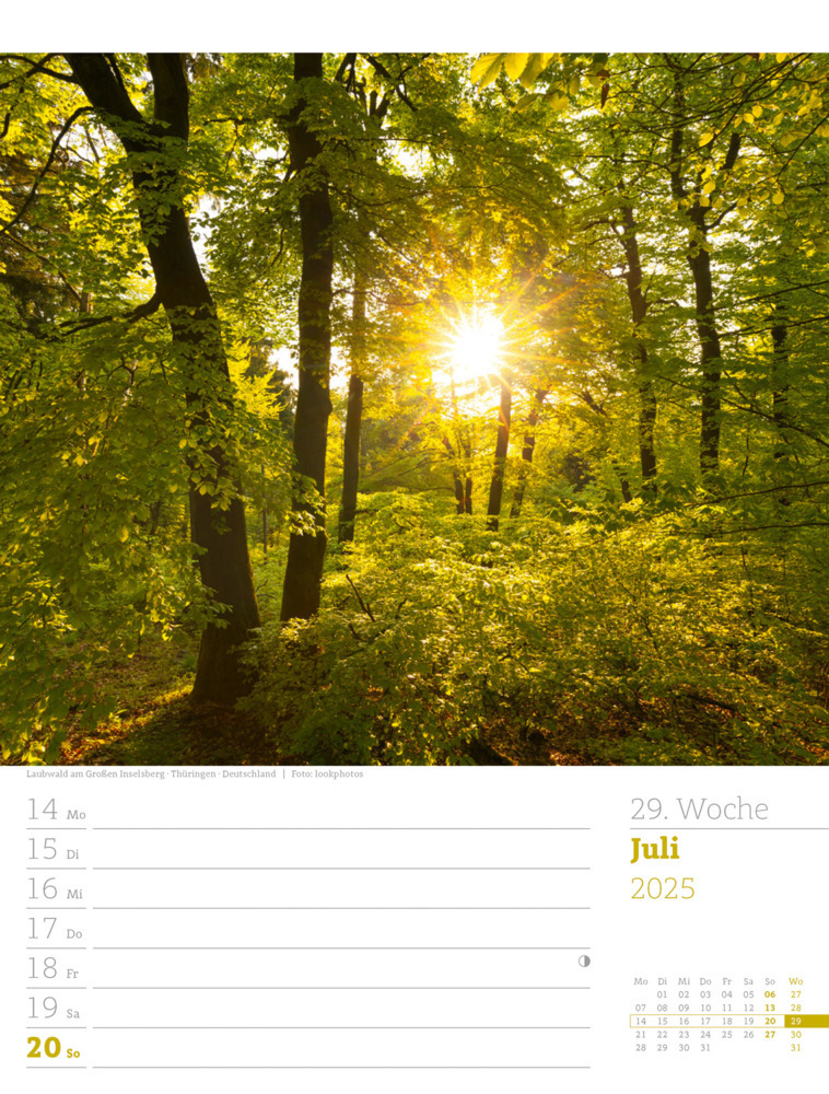 Bild: 9783838425979 | Unser Wald - Wochenplaner Kalender 2025 | Ackermann Kunstverlag | 2025