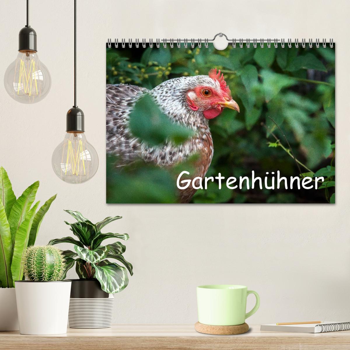 Bild: 9783435564101 | Gartenhühner (Wandkalender 2025 DIN A4 quer), CALVENDO Monatskalender