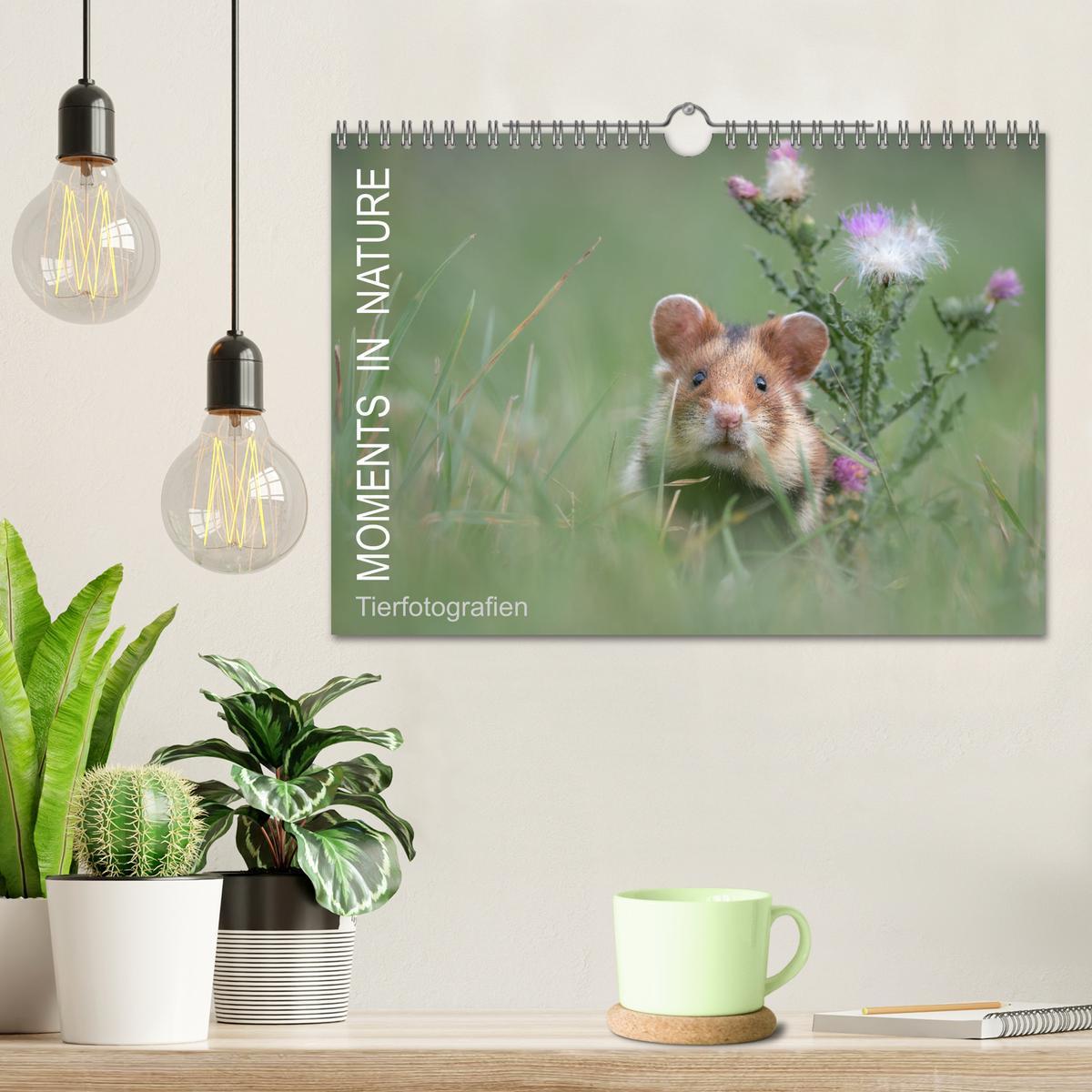 Bild: 9783435099597 | Moments in Nature (Wandkalender 2025 DIN A4 quer), CALVENDO...