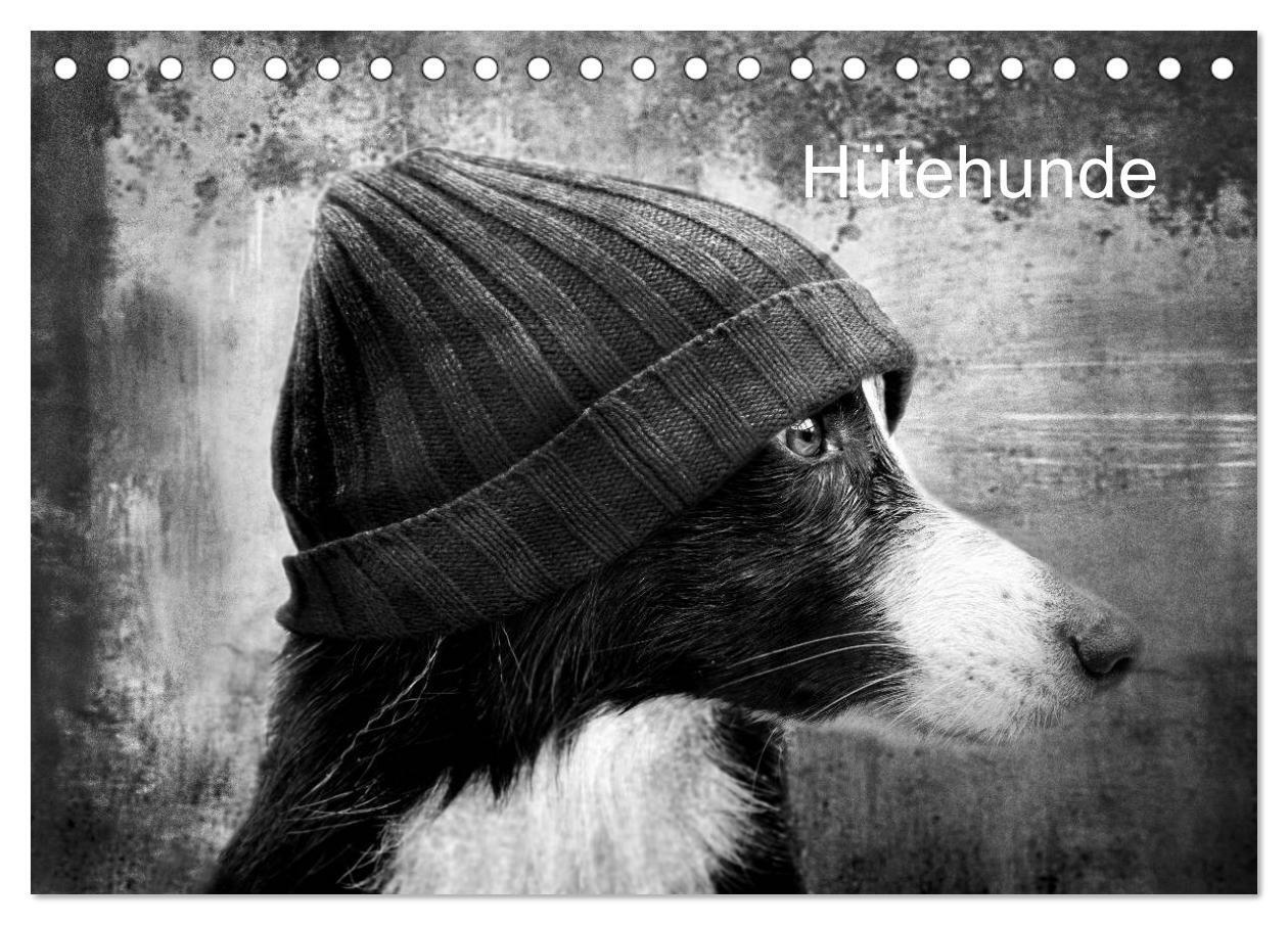 Cover: 9783383573279 | Hütehunde (Tischkalender 2024 DIN A5 quer), CALVENDO Monatskalender