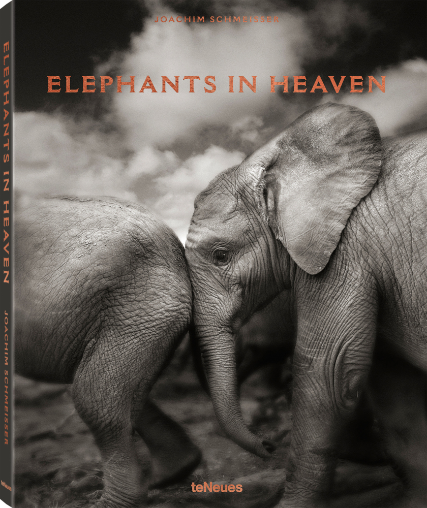 Cover: 9783961710478 | Elephants in Heaven | Joachim Schmeisser | Buch | 176 S. | Deutsch