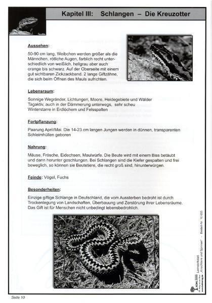 Bild: 9783866326552 | Lernwerkstatt Kriechtiere und Spinnen | Iris Moser (u. a.) | Buch