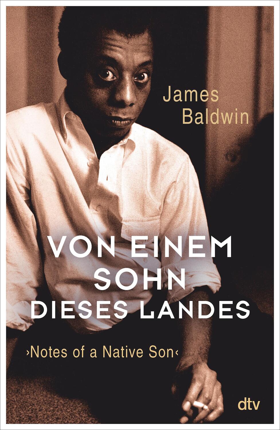 Cover: 9783423290098 | Von einem Sohn dieses Landes | Notes of a Native Son | James Baldwin