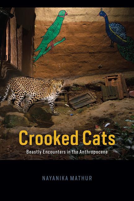 Cover: 9780226771922 | Crooked Cats | Beastly Encounters in the Anthropocene | Mathur | Buch