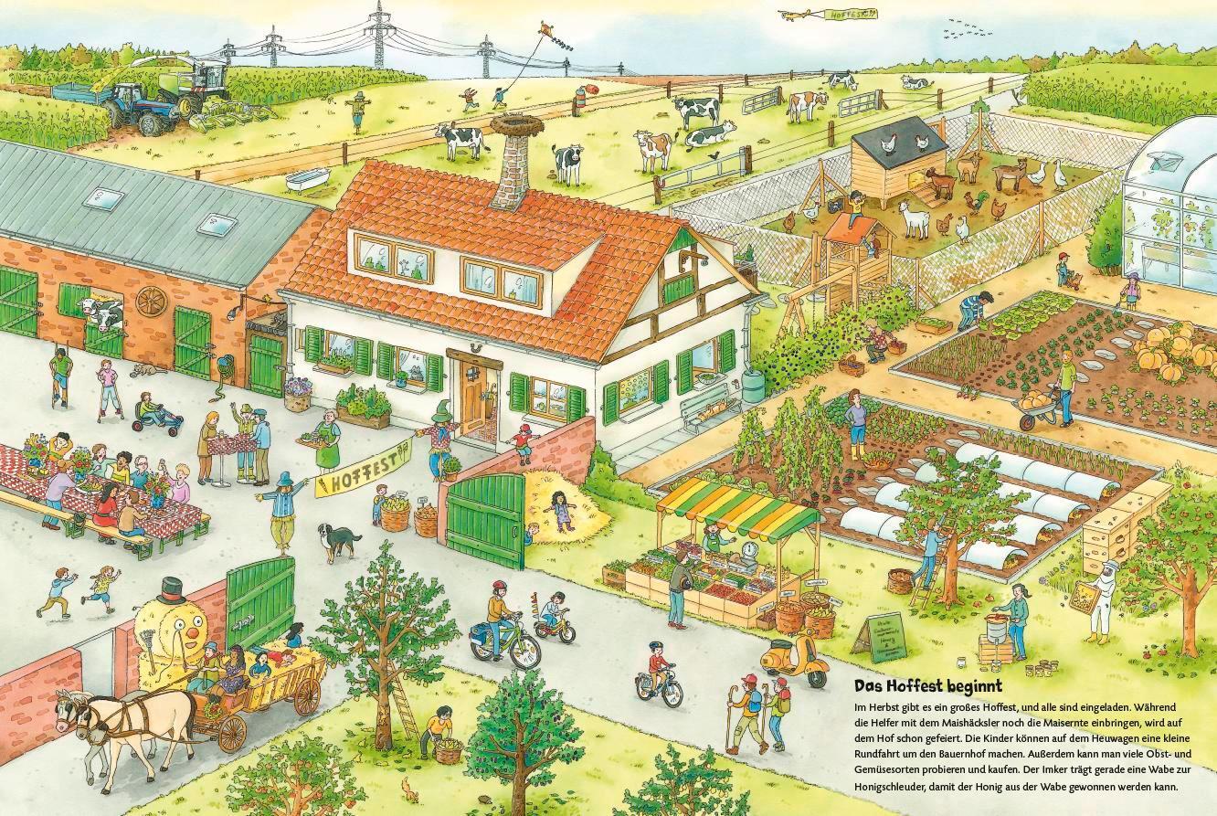 Bild: 9783737336383 | Traktor, Kühe &amp; Bauernhof: Das große Wimmelbuch vom Landleben | Braun