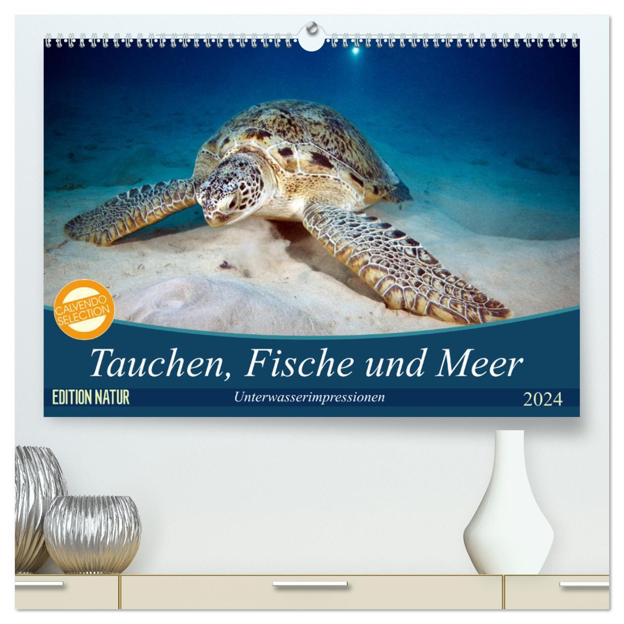 Cover: 9783383192623 | Tauchen, Fische und Meer (hochwertiger Premium Wandkalender 2024...