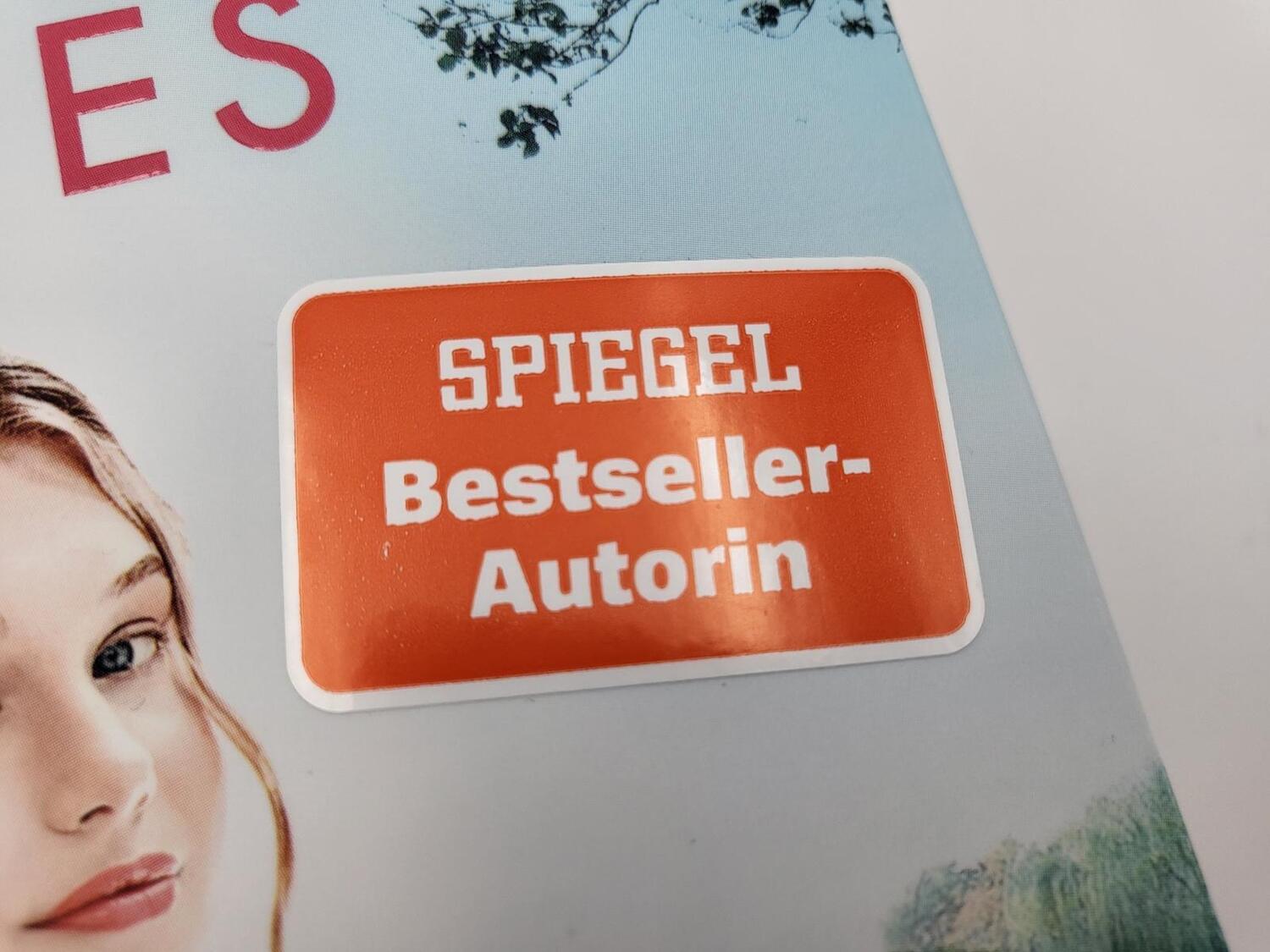 Bild: 9783492063302 | Ashington - Verliebt in einen Earl | Abbi Glines | Taschenbuch | 2022