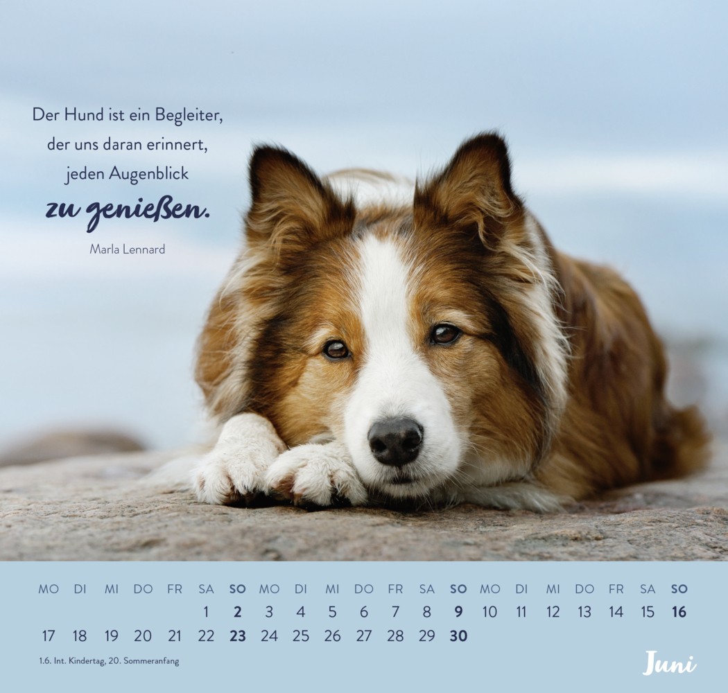 Bild: 4036442010556 | Wandkalender 2024: Für Hundefreunde | Groh Verlag | Kalender | 12 S.